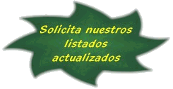Solicito el listado actualizado de (1/18, 1/43, 1/87, slot, maquetas, ofertas) - Elige uno de ellos.
